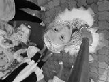 BAPTEME TESS - PHOTOS Jean MORIN (123) (small).jpg
